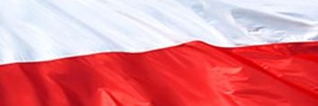 ArkadioPL 🇵🇱 #Nawrocki2025 banner