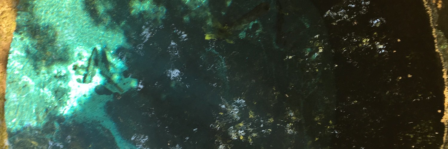 kuzuo_3's profile banner image