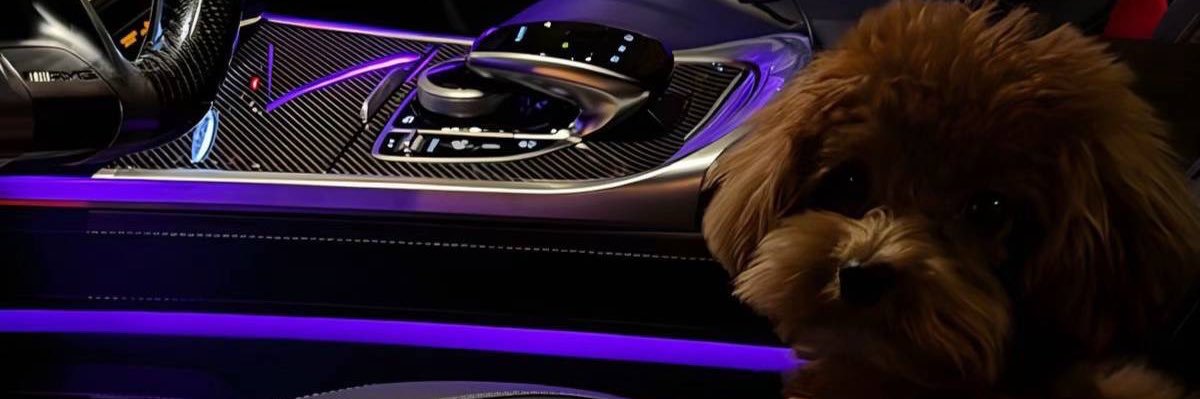 rsl_abb's profile banner image