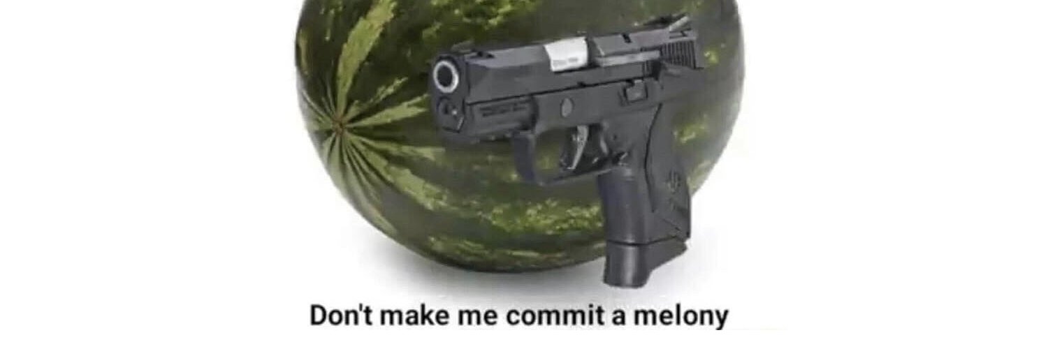 0xMelon's profile banner image
