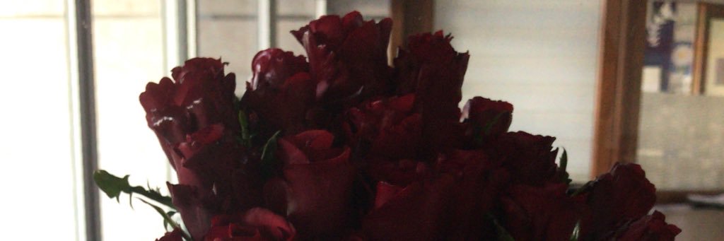 enhms's profile banner image