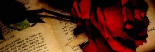 NAlhammad_COLT's profile banner image