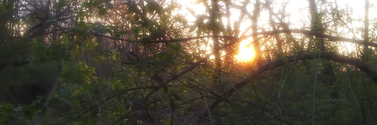 tsday's profile banner image