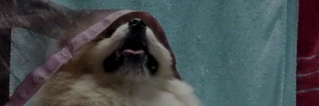 marselgeo's profile banner image