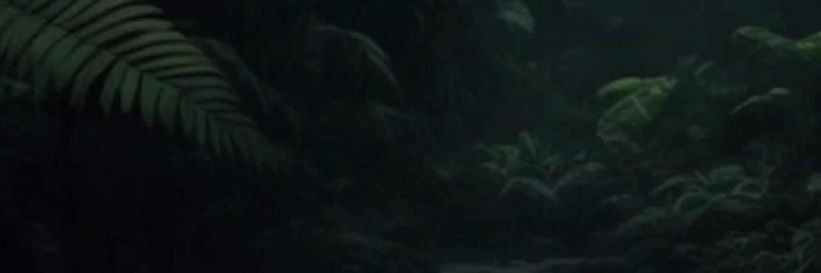 Diano banner