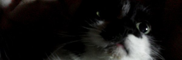 ukamone's profile banner image