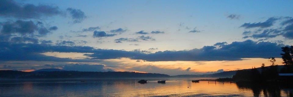 Dolphinfsg's profile banner image