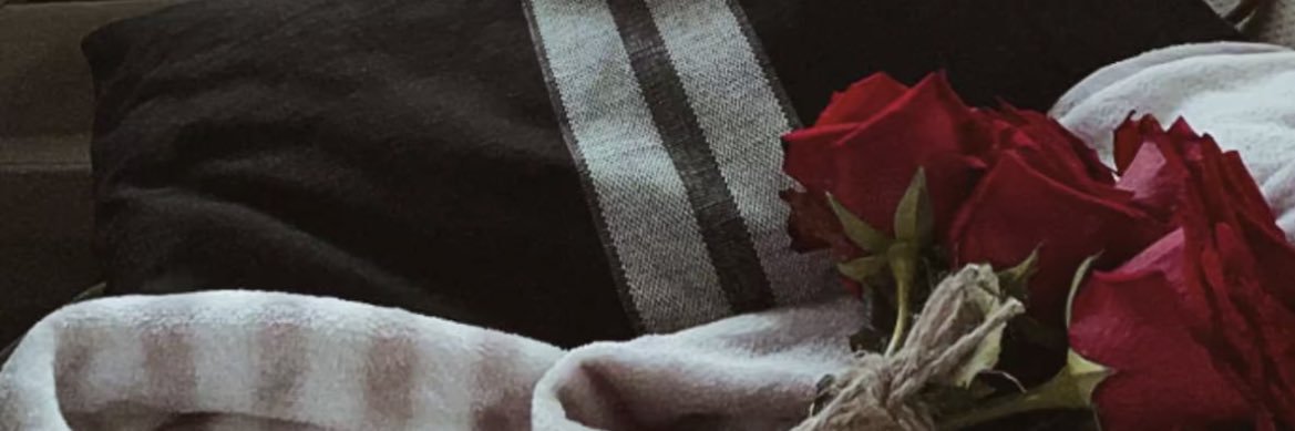 Aoot2r's profile banner image