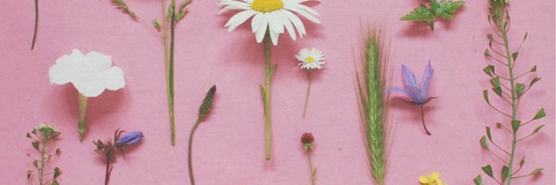 alainaturnerr's profile banner image