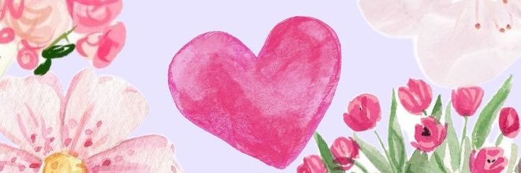 sofía banner