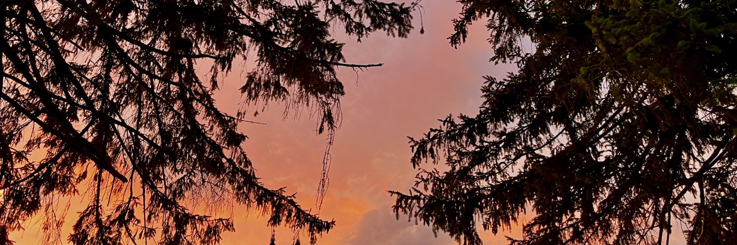 tayyx98's profile banner image