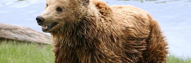 JohnAnderson88's profile banner image