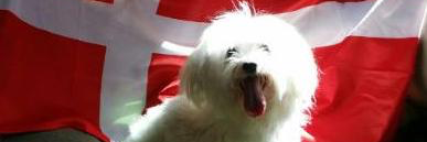 AuntArchie's profile banner image