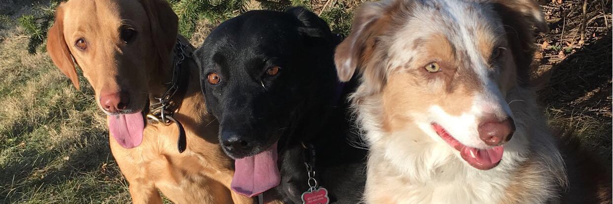 ChristaV_14's profile banner image