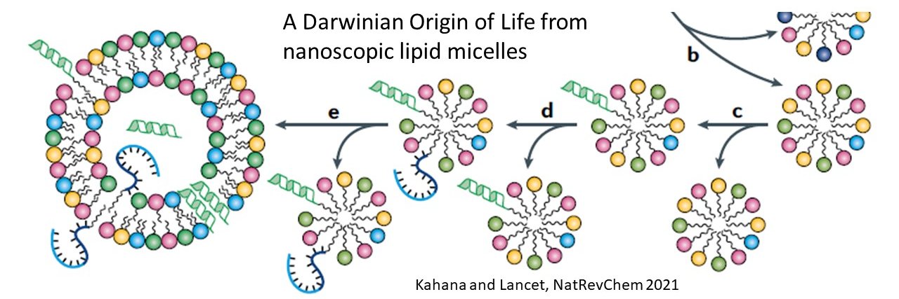 dlancet2's profile banner image