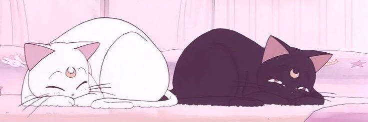 Jessika_mcfly's profile banner image