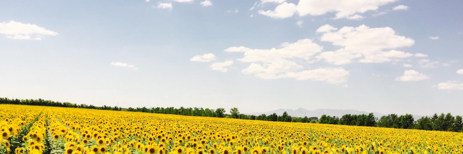nktkmc's profile banner image
