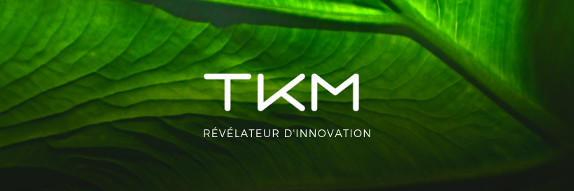 TKM (TecKnowMetrix) banner