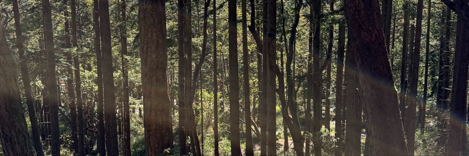 delabrol's profile banner image