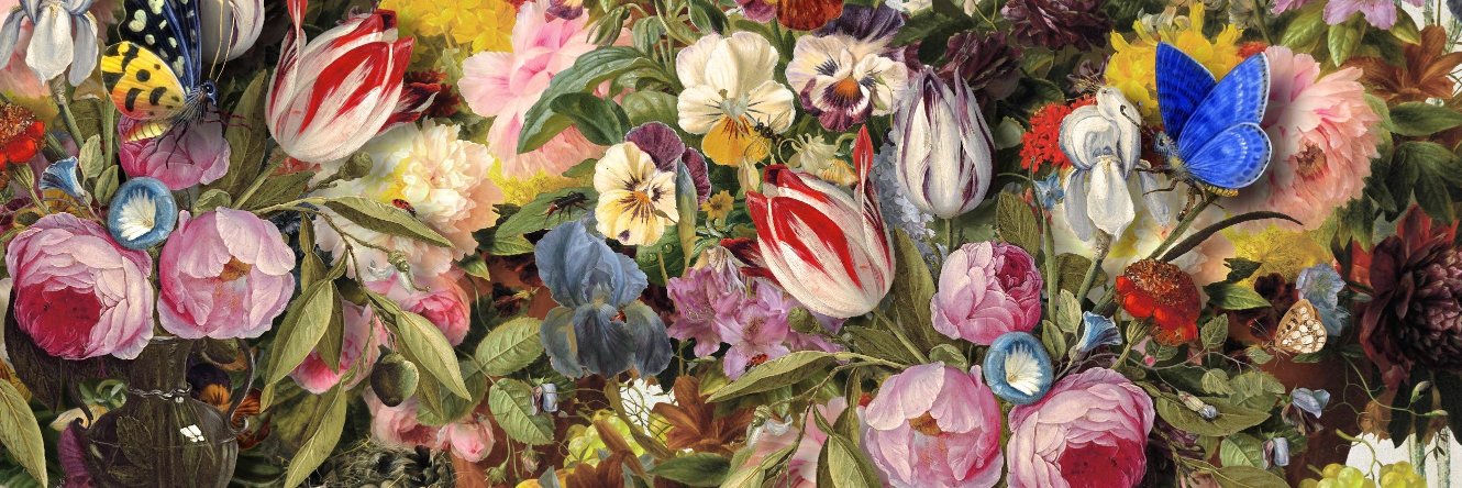 WSYherbarium's profile banner image