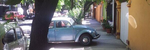 sandralorenzo Profile Banner