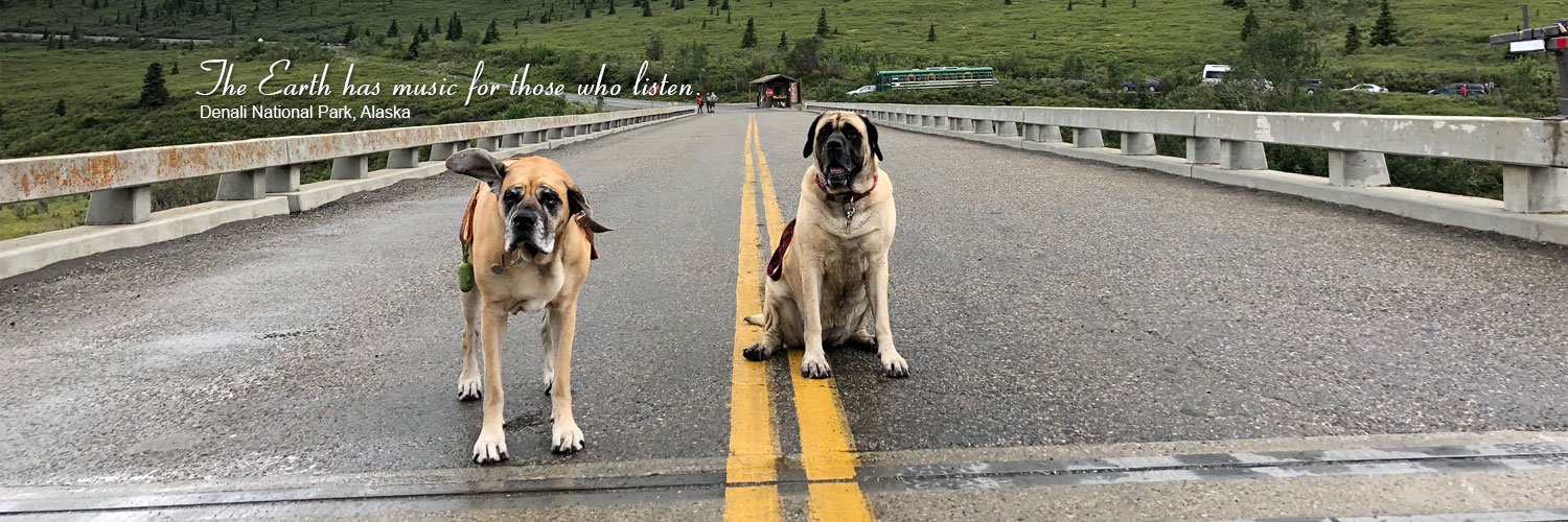 Morgan Mastiff banner