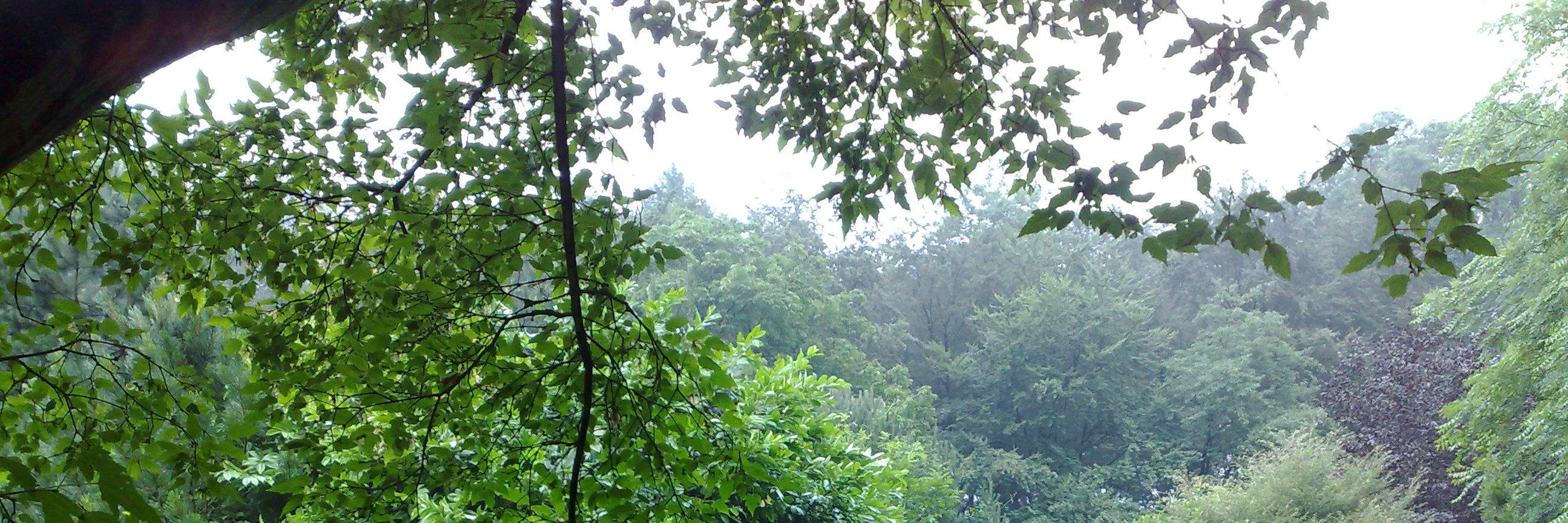 CaroleScotland's profile banner image