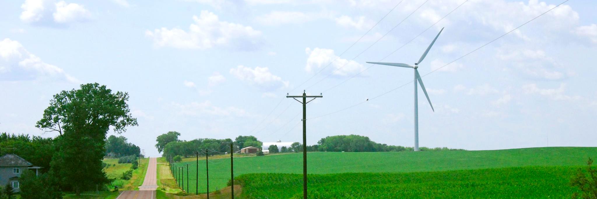 Divest Carleton banner