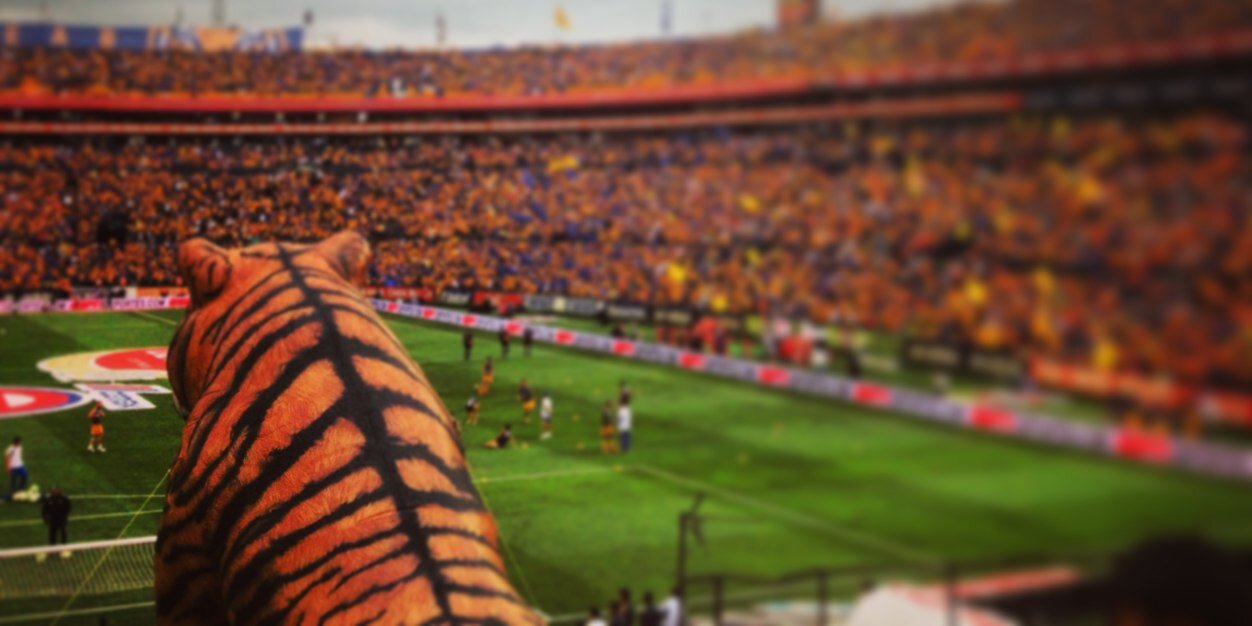 regia_alfa's profile banner image