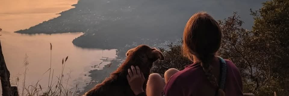 Travel To Blank banner