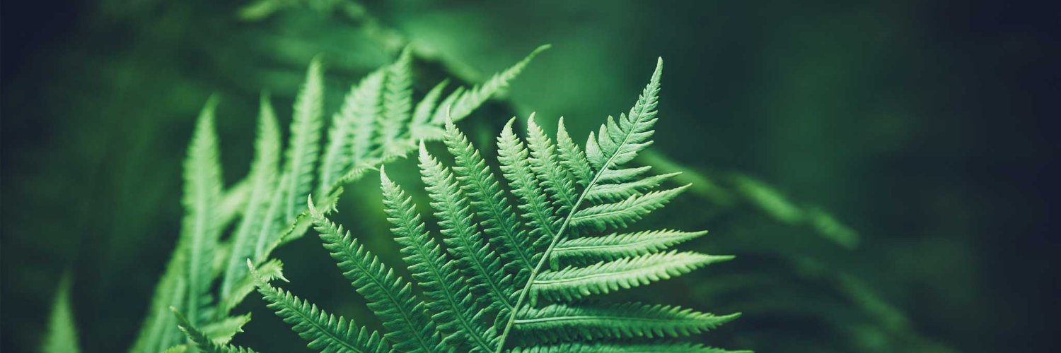 BodyNatureFR's profile banner image