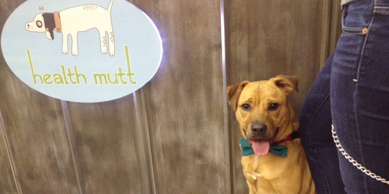 HealthMutt's profile banner image