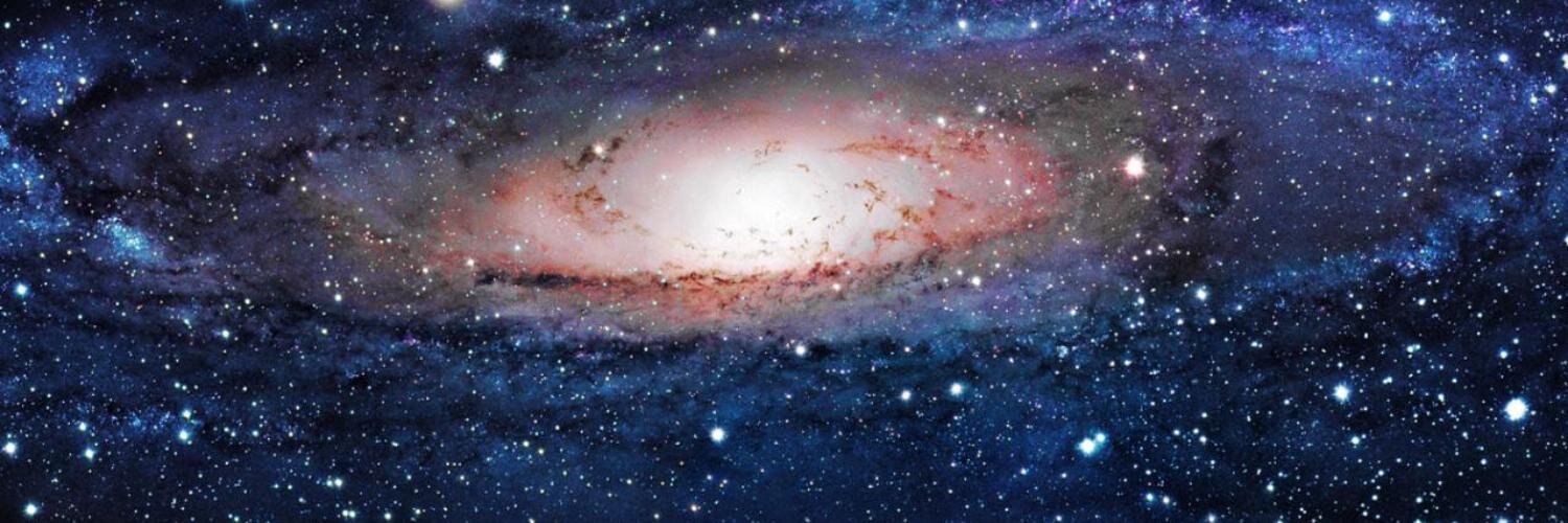 Кролик ваших снов banner