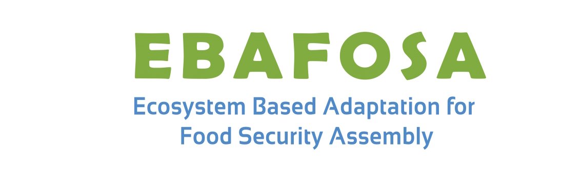 EBAFOSA Africa banner