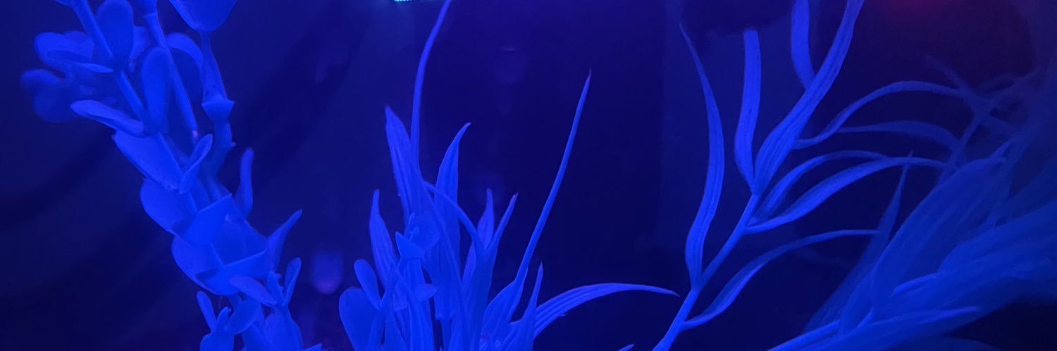 Markrobwho's profile banner image
