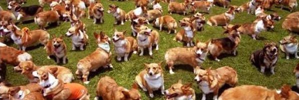 _MaxGilbert's profile banner image