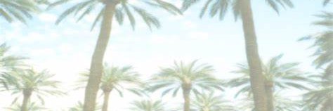 mmmsss2015147's profile banner image