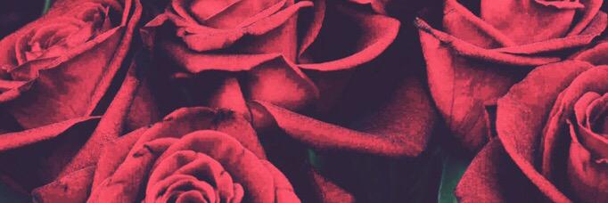 adieee_'s profile banner image