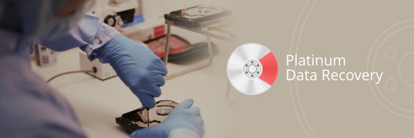 PlatinumDataLab Profile Banner