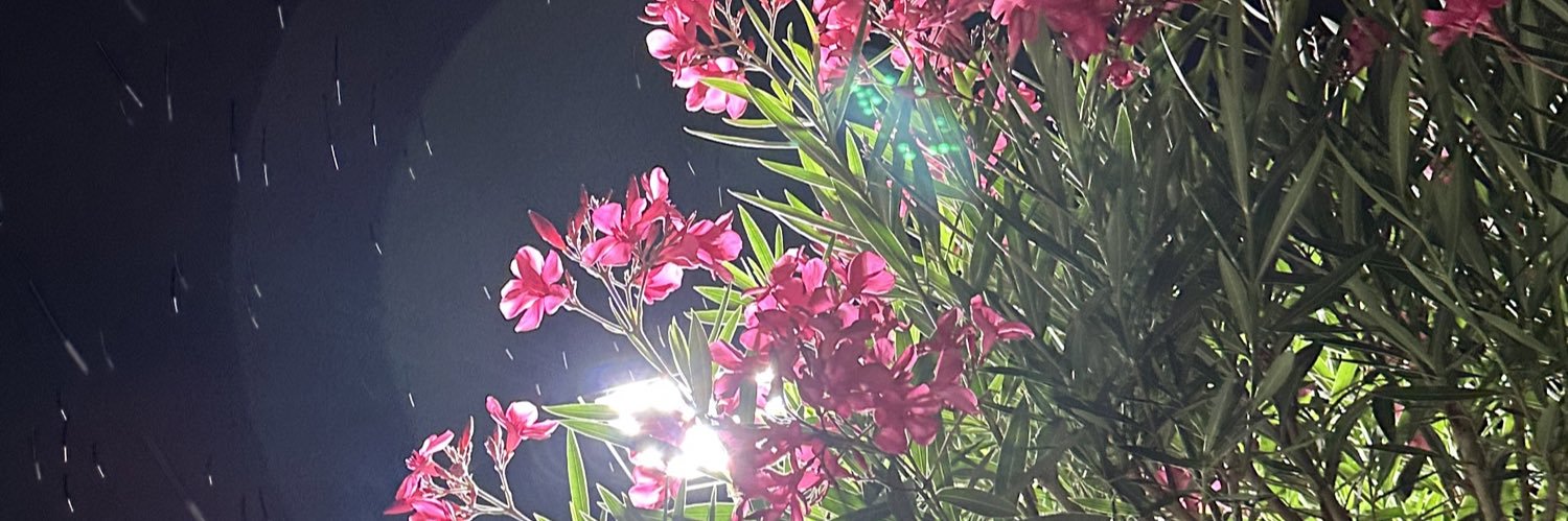aaarianrh0dd26's profile banner image