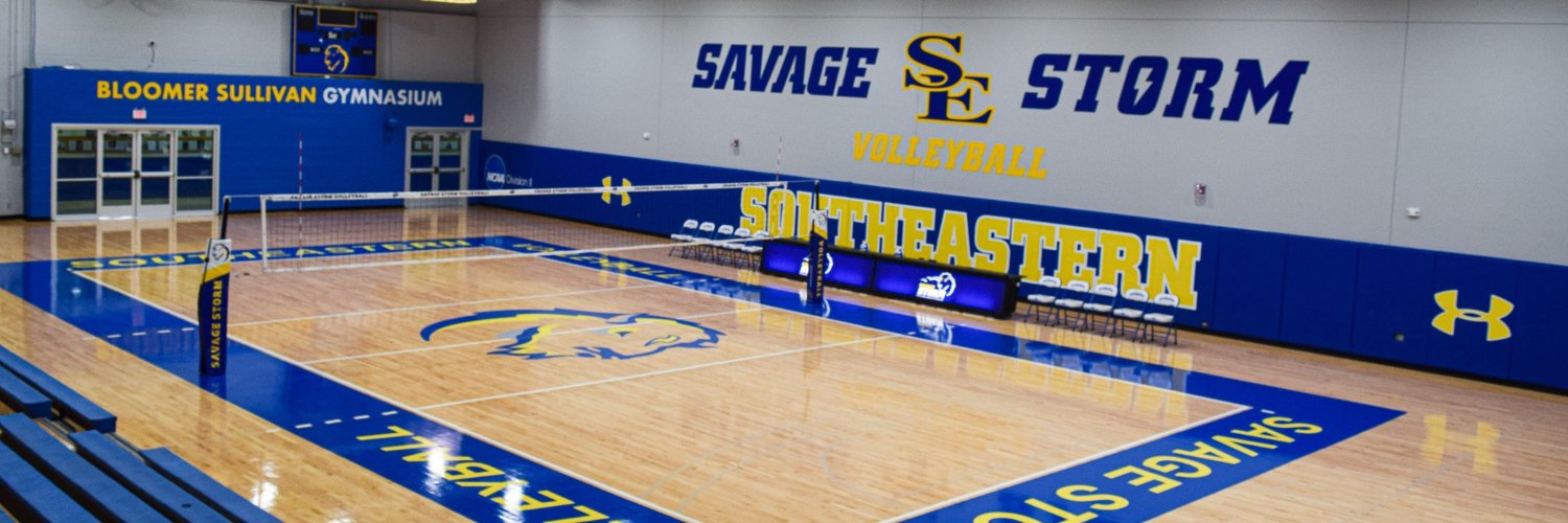 Savage Storm Volleyball banner