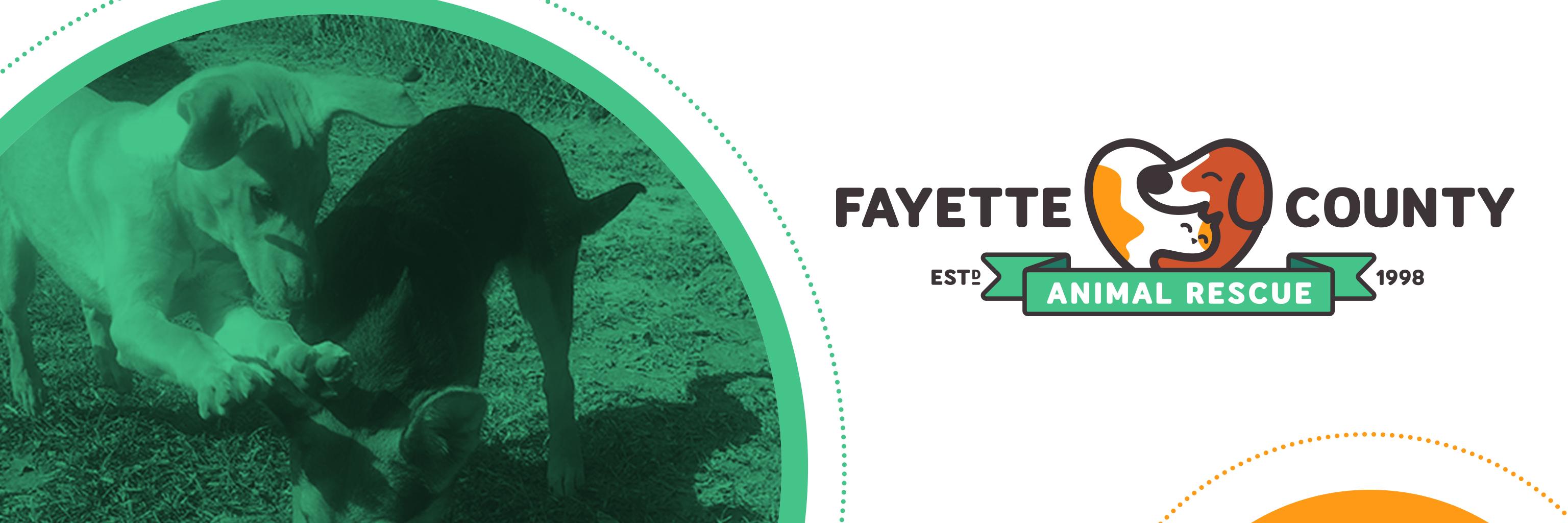 fayettefcar's profile banner image