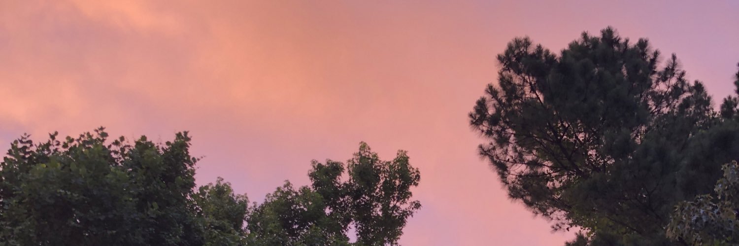 K_W_Taylor's profile banner image