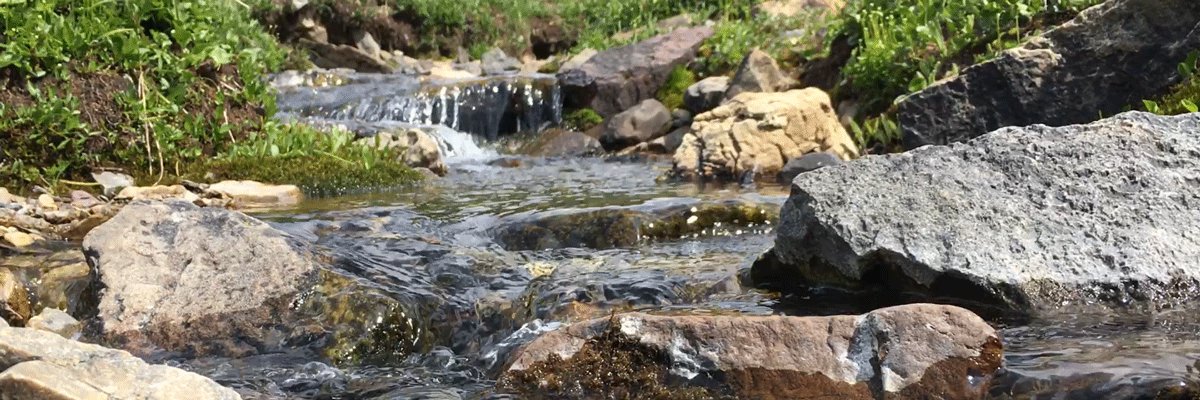 Water Security banner