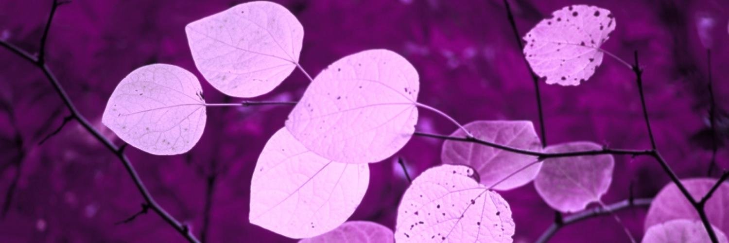BonidtaSubrata's profile banner image