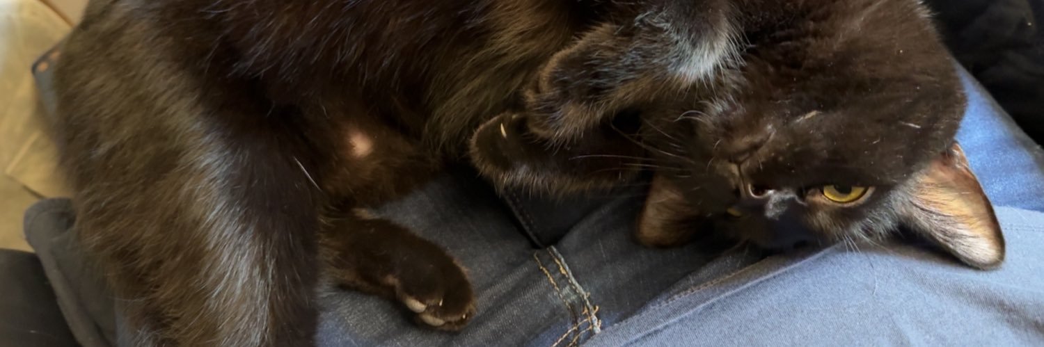 MollyBlake13's profile banner image