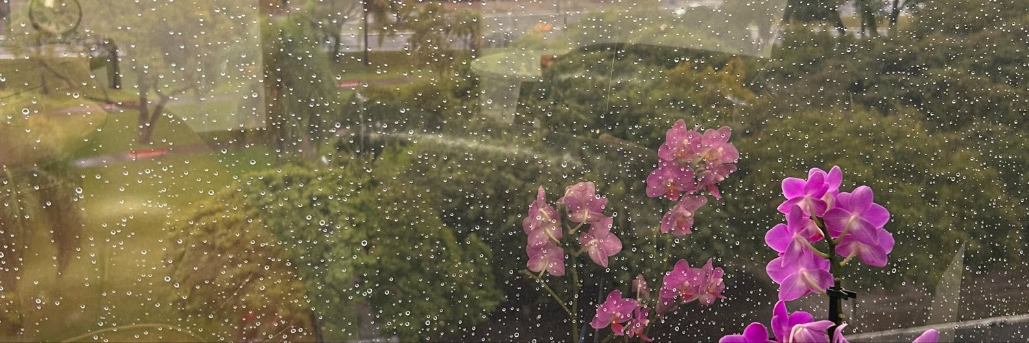 iannnca's profile banner image