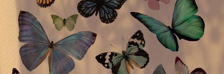 Dominiqueee_3's profile banner image