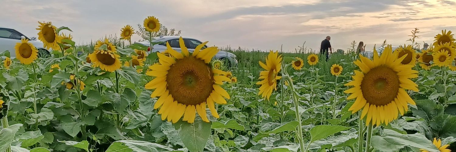 cjfletcher91's profile banner image