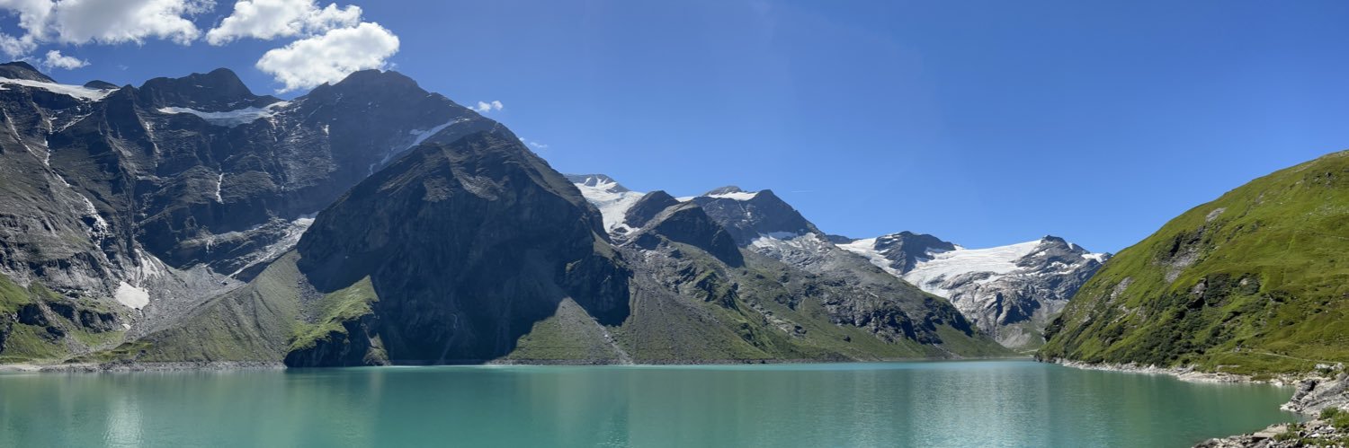 Daniel Zelmanoff banner